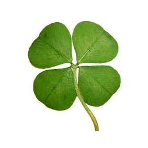 Lucky 