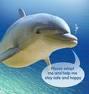 Dolphin3