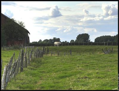 campagne