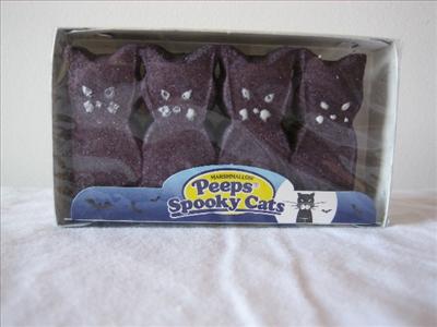 Halloween Cats