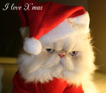 christmas kitty