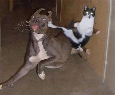 a kick 