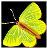 Mariposa