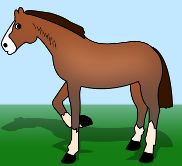 Horse