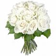 White Roses