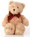 Bear 7