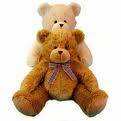 Bear 11