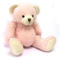 Bear 16