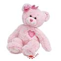 pink teddy