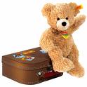 travel teddy 