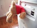 idiot bear 