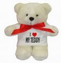 i love my teddy 