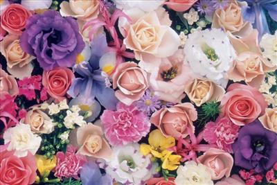 A Fragrant Arrangement