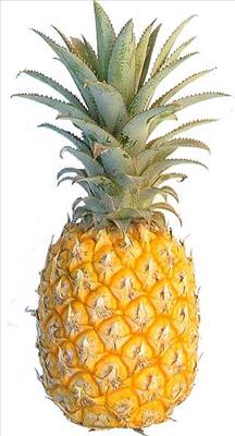 Pinapple