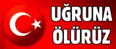 bayrak30