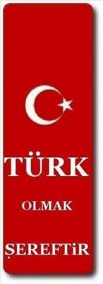bayrak1