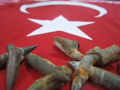 bayrak2