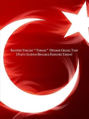 bayrak6