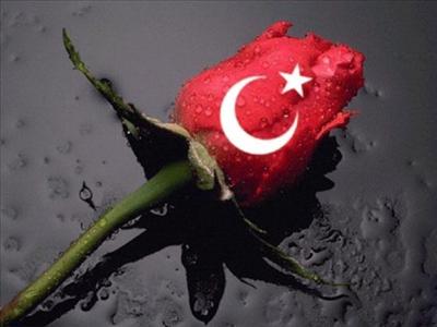 bayrak24