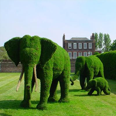 Elephant Topiary