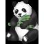 Chubby Panda