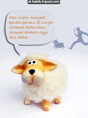 domba imut