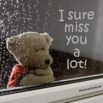 missu1