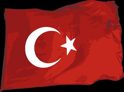 Türk Bayrağı