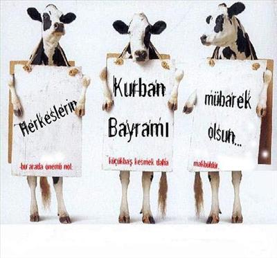 bayramınız kutlu olsun
