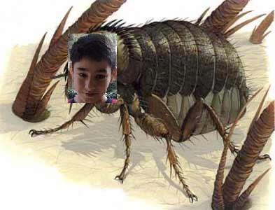 Çooook