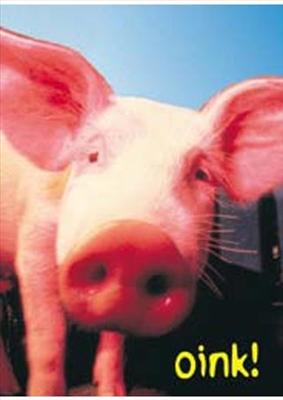 Pig