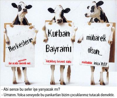 buyrrun 