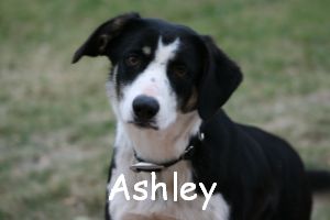 Ashley
