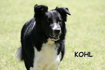 Kohl
