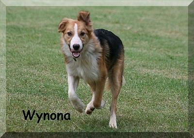 Wynona