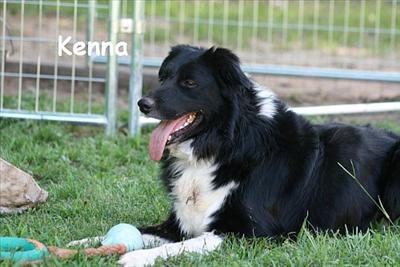 Kenna