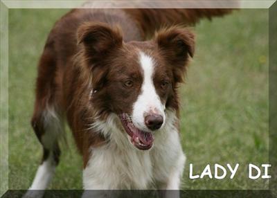 Lady Di