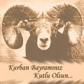 koç