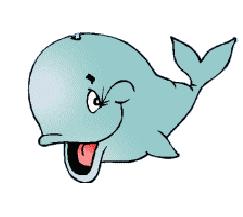 Whale