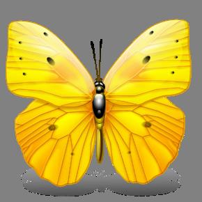 Yellow Butterfly