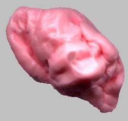 ABC Gum