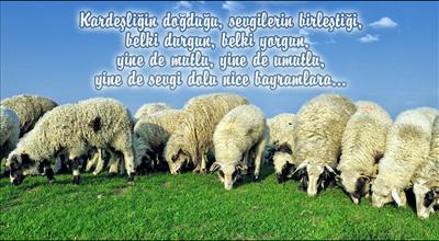 tebrik