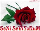 GÜL