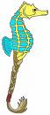 Seahorse