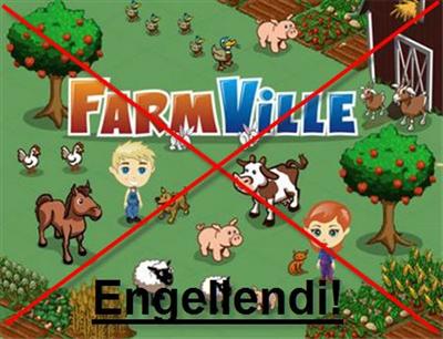 Farm Vaill'e ilgi göstermek ekmek, toplamakve çıkmak haricinde bir de onun bağımlılık yapacağını düşünüp o uygulamayı engellemek