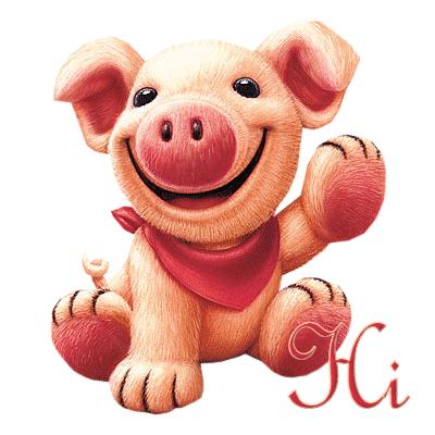 hi pig
