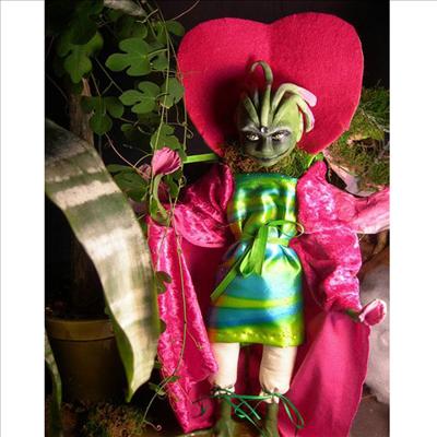 Venus the Fly Trap