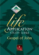 Free NLT Gospel of John at http://biblecontest.newlivingtranslation.com