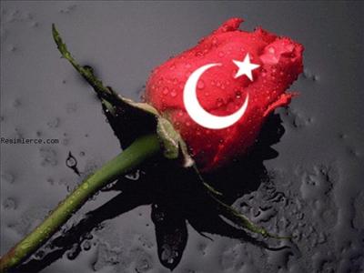 HATİCEYHUN
