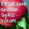 birtek senı sevdım gerısı yalan